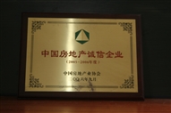 B1、中國(guó)房地產(chǎn)誠(chéng)信企業(yè)2005—2006年